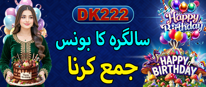DK222 Game